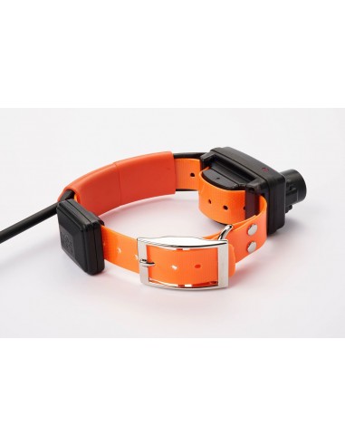 Collar GPS Dogtrace X30-TB